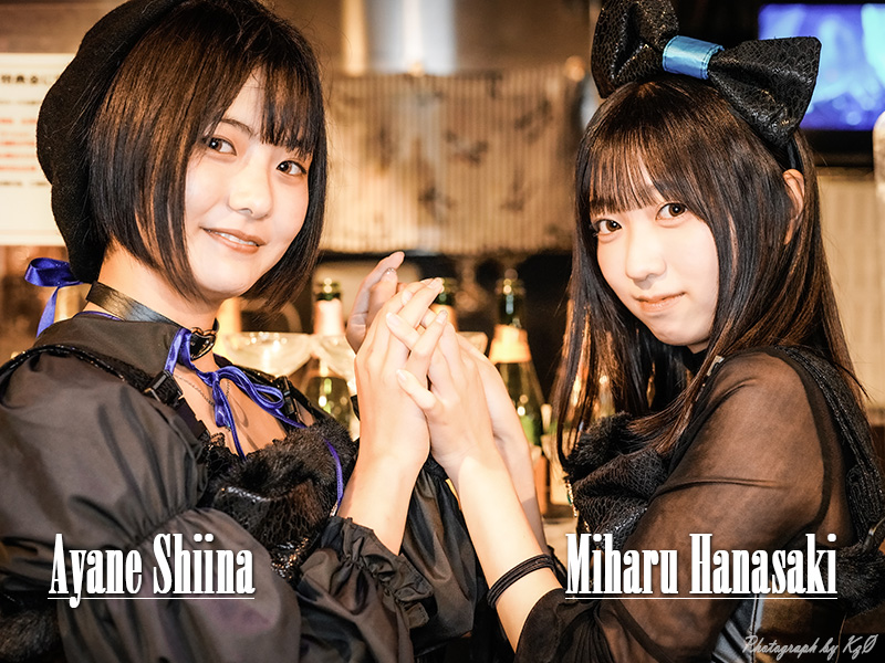 アイドルDD的な日常