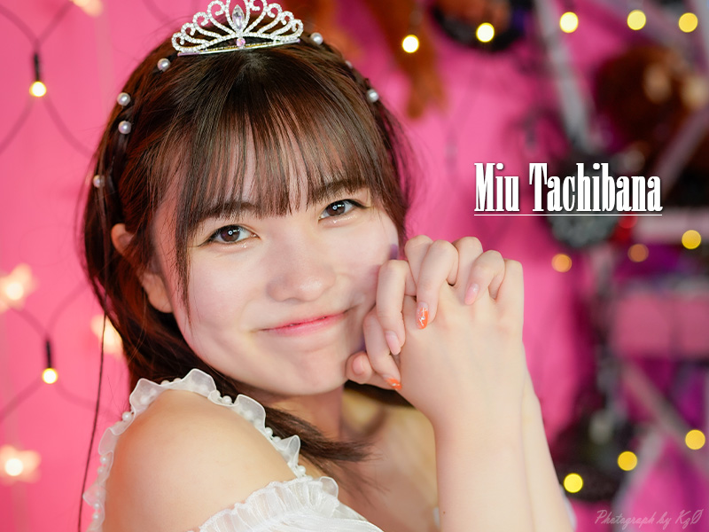 アイドルDD的な日常